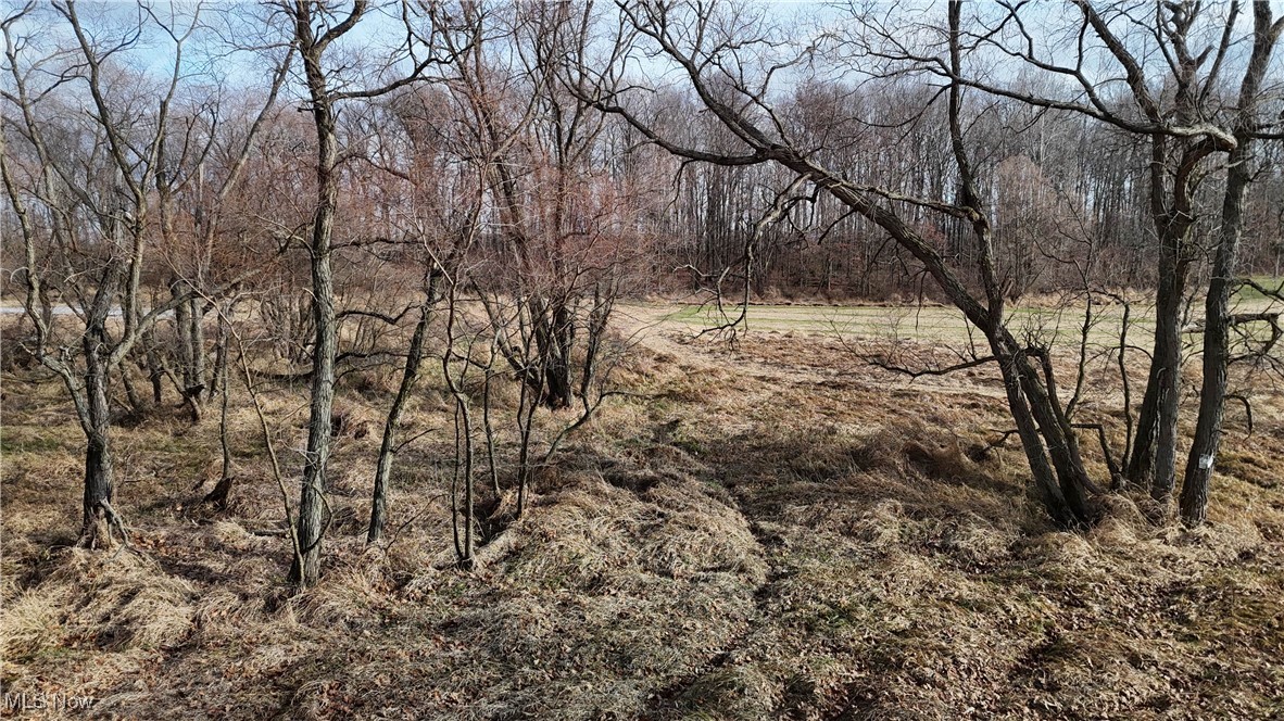 Jones Road Wellington OH 44090