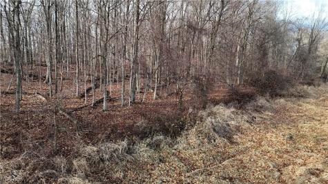 Jones Road Wellington OH 44090