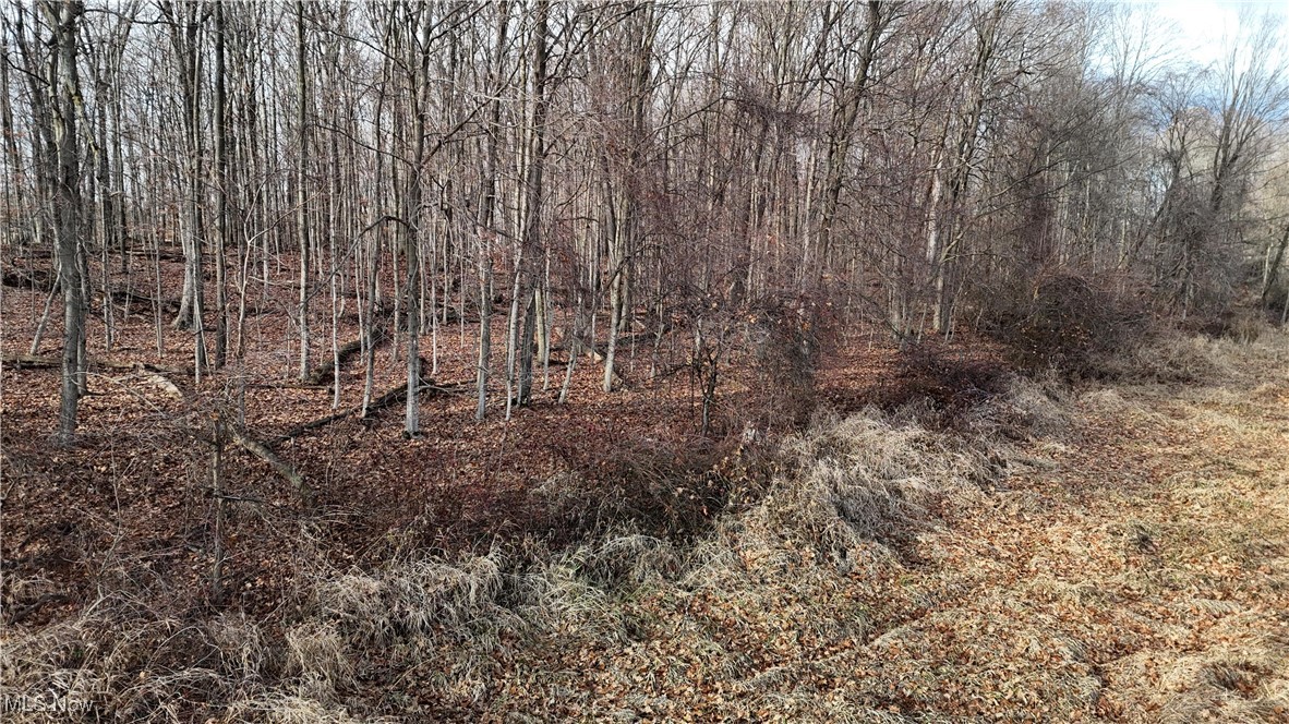Jones Road Wellington OH 44090