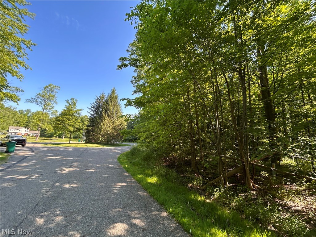 Curry Lane Chagrin Falls OH 44023