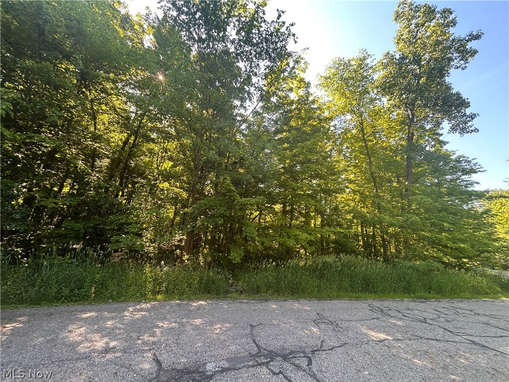 Curry Lane Chagrin Falls OH 44023