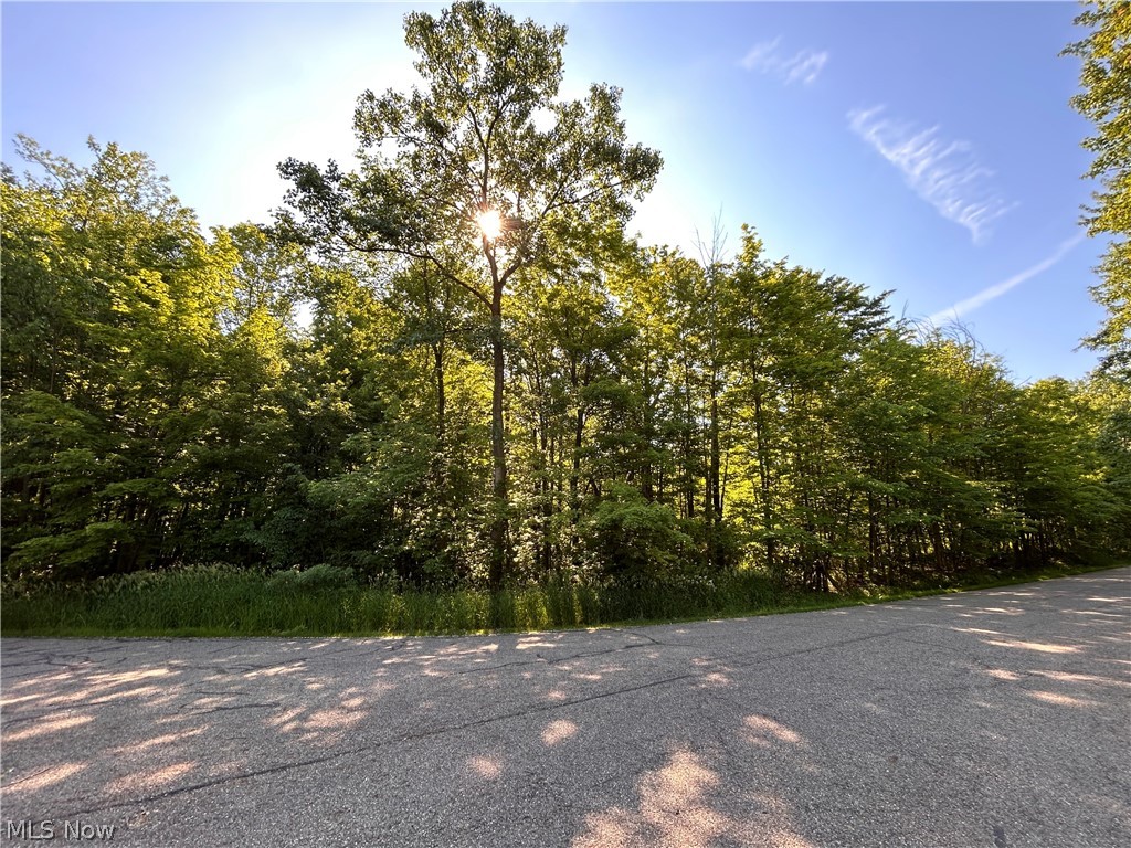 Curry Lane Chagrin Falls OH 44023