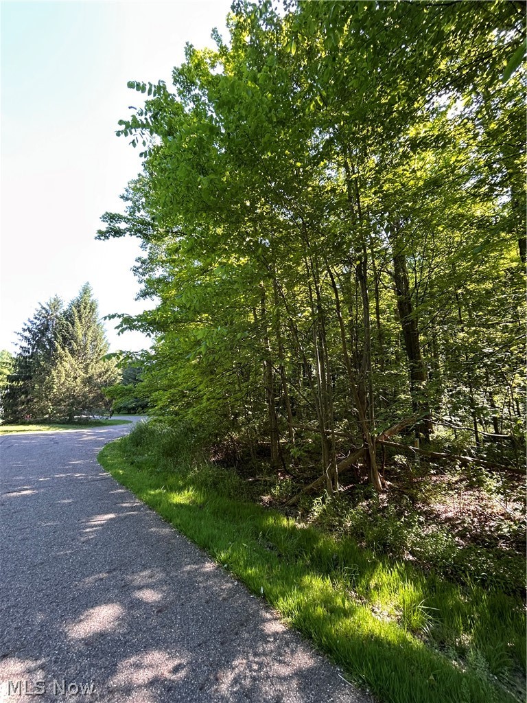 Curry Lane Chagrin Falls OH 44023