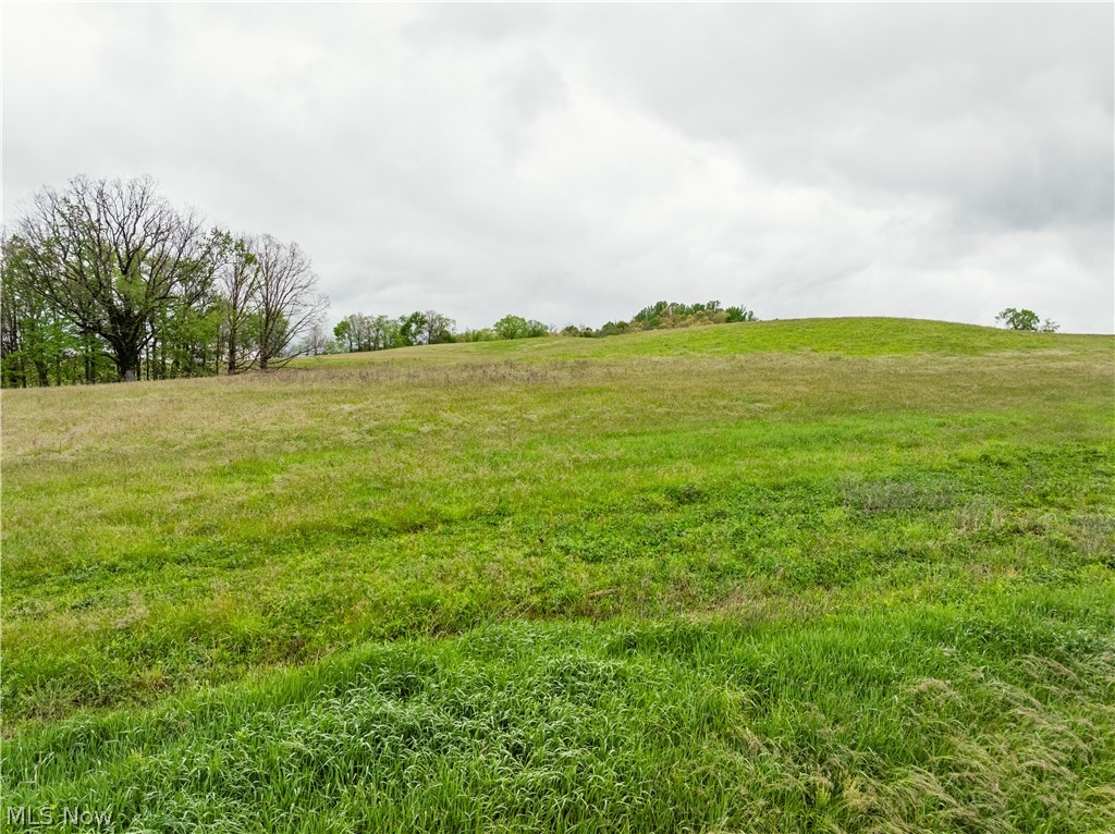 Timmerman Road Bowerston OH 44695