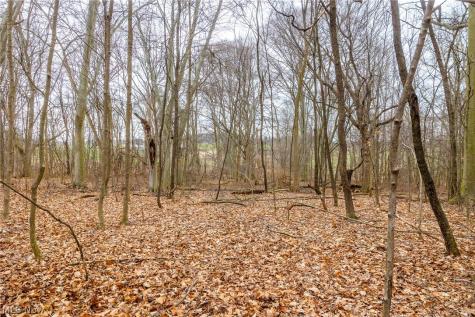 Pigeon Run Avenue SW Navarre OH 44662