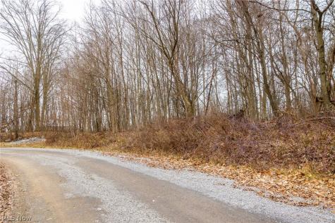 Pigeon Run Avenue SW Navarre OH 44662