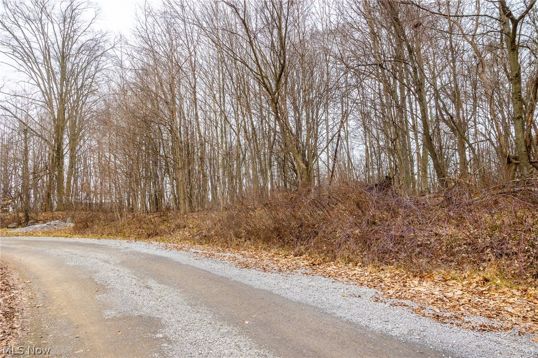 Pigeon Run Avenue SW Navarre OH 44662