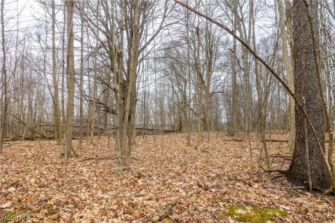 Pigeon Run Avenue SW Navarre OH 44662