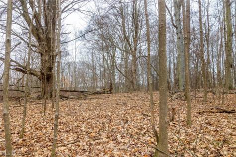 Pigeon Run Avenue SW Navarre OH 44662