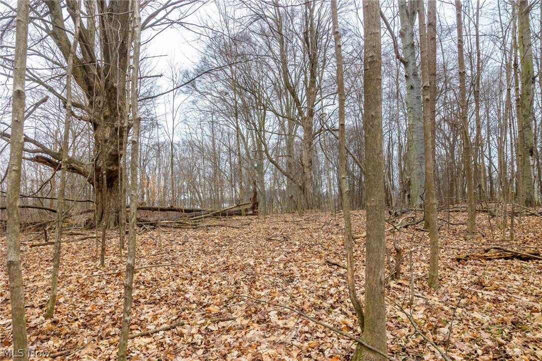 Pigeon Run Avenue SW Navarre OH 44662