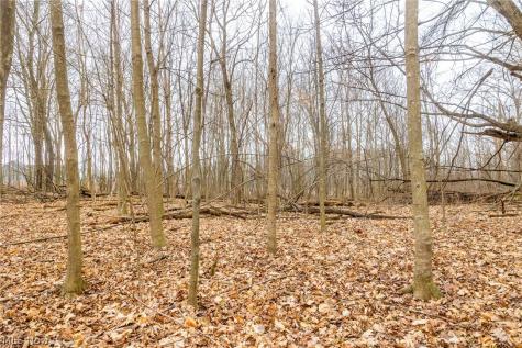 Pigeon Run Avenue SW Navarre OH 44662
