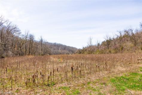 East Branch Road Lowell OH 45744
