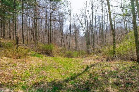 East Branch Road Lowell OH 45744