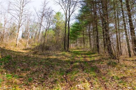 East Branch Road Lowell OH 45744