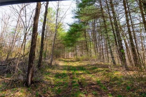 East Branch Road Lowell OH 45744
