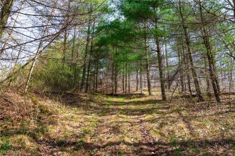 East Branch Road Lowell OH 45744
