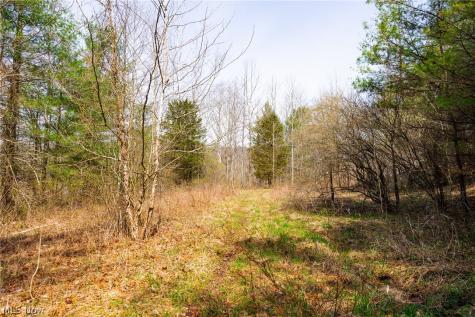 East Branch Road Lowell OH 45744