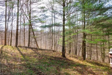 East Branch Road Lowell OH 45744