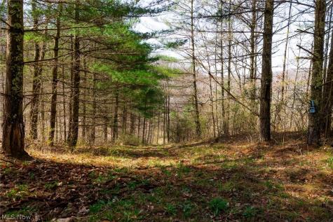 East Branch Road Lowell OH 45744