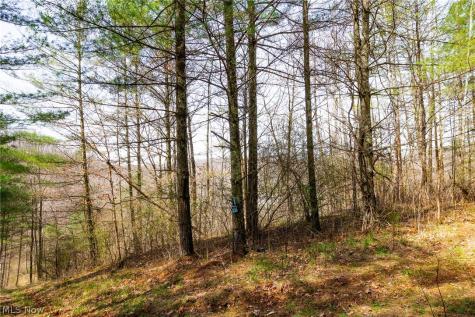 East Branch Road Lowell OH 45744
