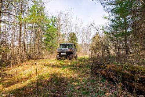 East Branch Road Lowell OH 45744