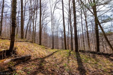 East Branch Road Lowell OH 45744
