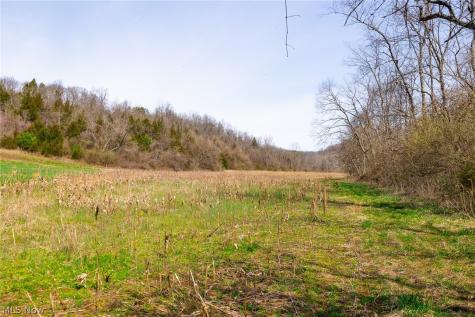 East Branch Road Lowell OH 45744