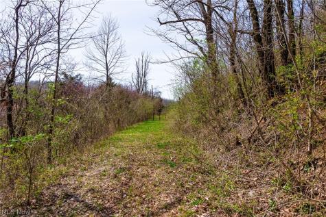 East Branch Road Lowell OH 45744
