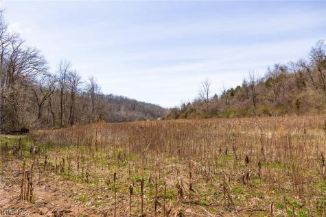 East Branch Road Lowell OH 45744