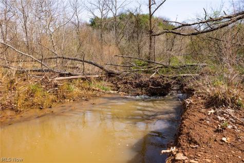 East Branch Road Lowell OH 45744