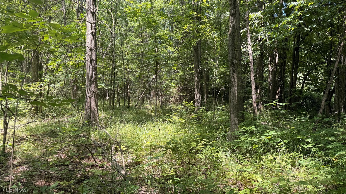 3359 Helsey Fusselman Road Southington OH 44470