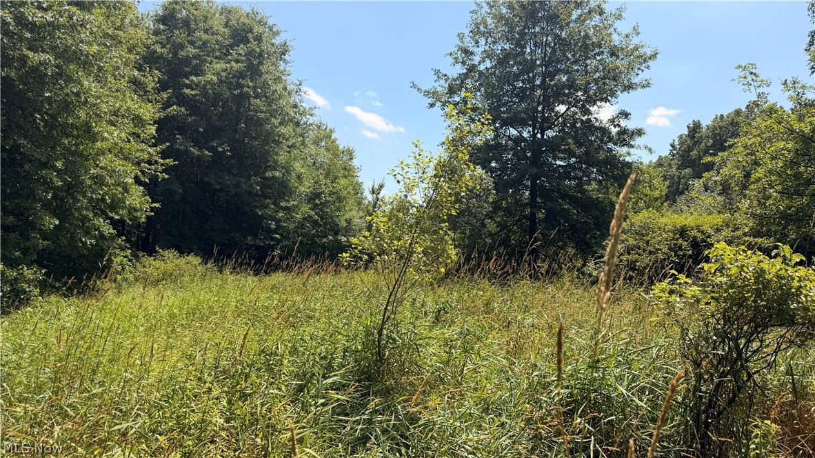 3359 Helsey Fusselman Road Southington OH 44470