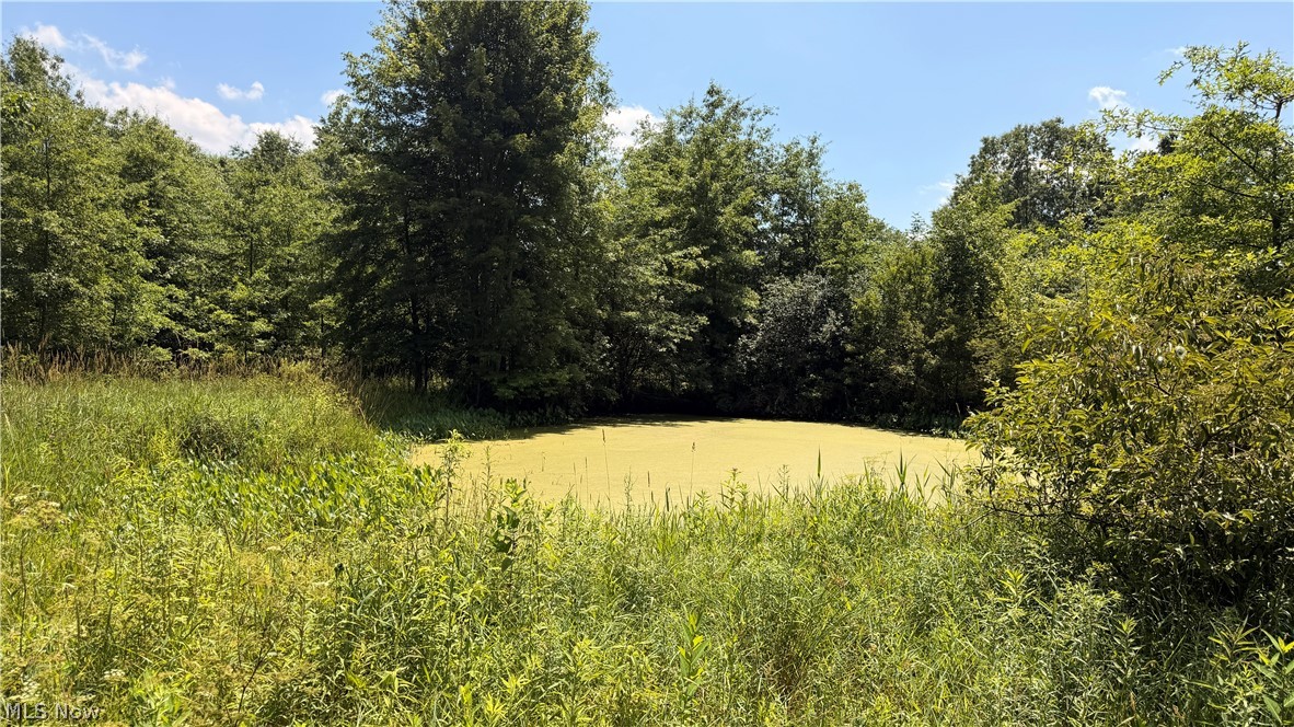 3359 Helsey Fusselman Road Southington OH 44470