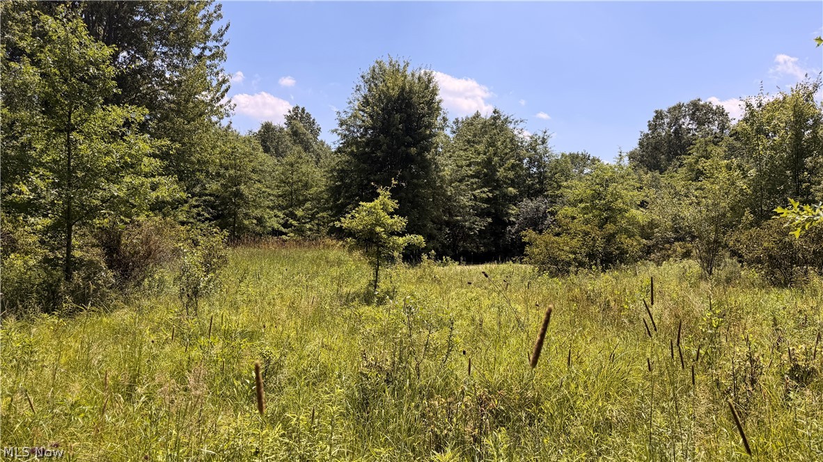 3359 Helsey Fusselman Road Southington OH 44470