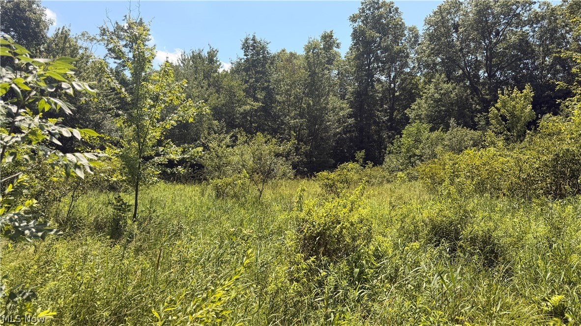 3359 Helsey Fusselman Road Southington OH 44470