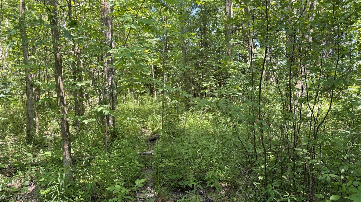 3359 Helsey Fusselman Road Southington OH 44470