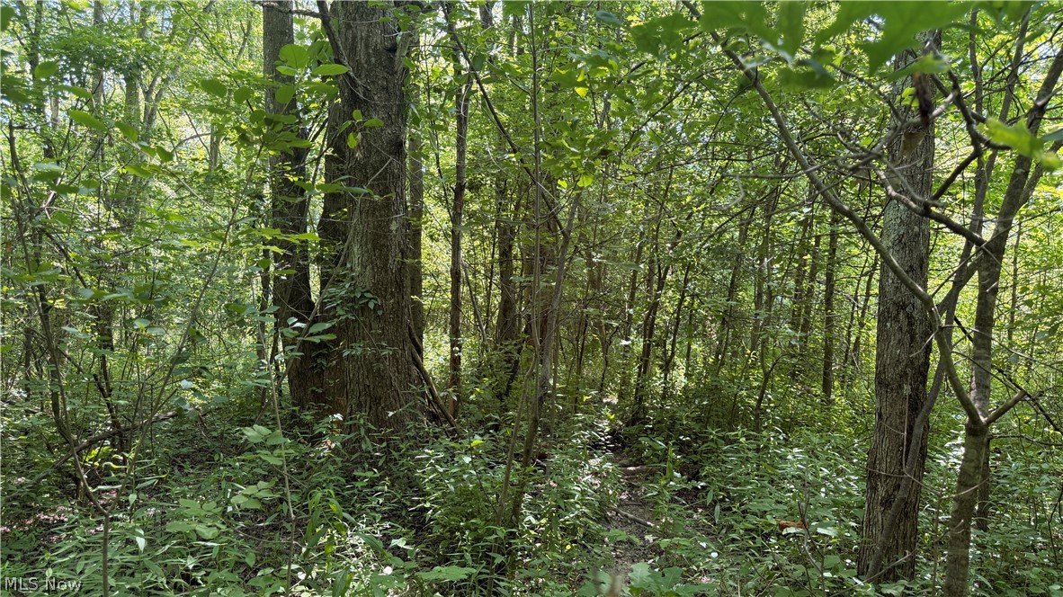 3359 Helsey Fusselman Road Southington OH 44470