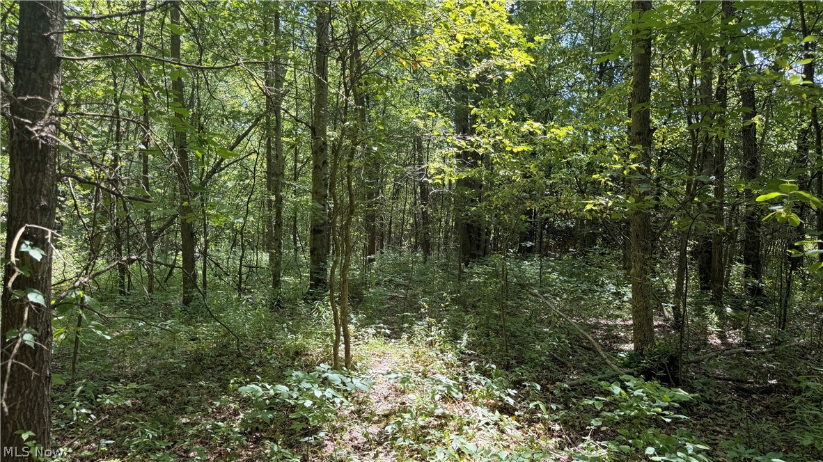 3359 Helsey Fusselman Road Southington OH 44470