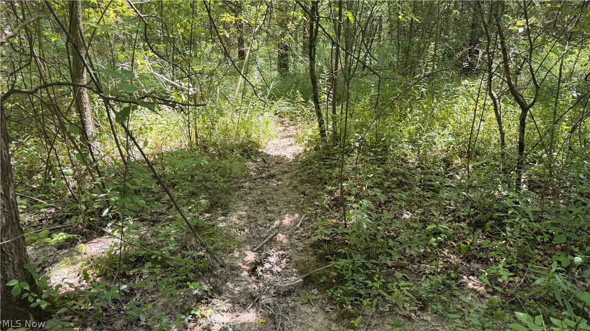 3359 Helsey Fusselman Road Southington OH 44470