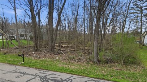 3320 Sandy Lane Avon OH 44011