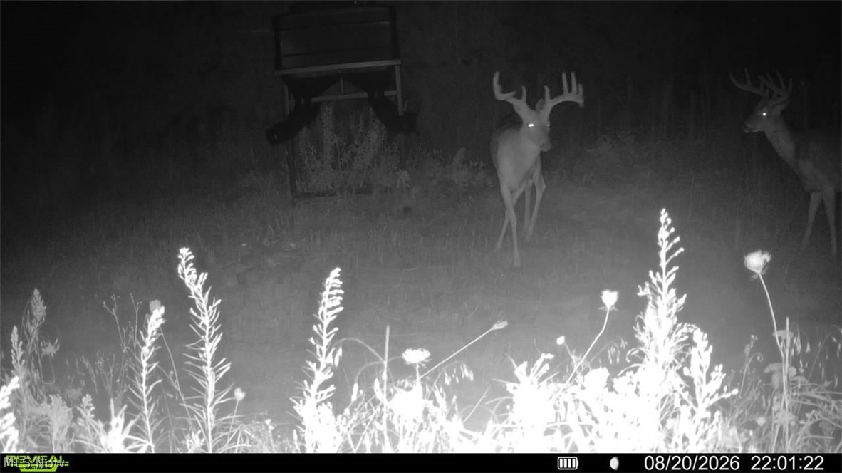 Lawndell SW Road Beach City OH 44608