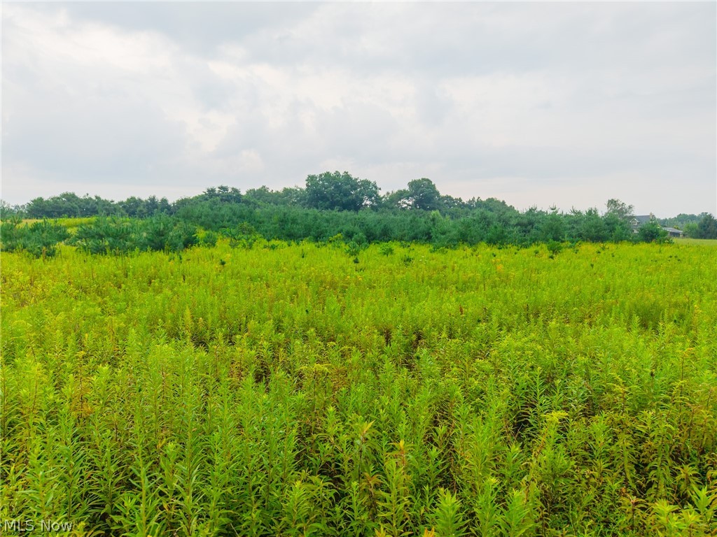Lawndell SW Road Beach City OH 44608