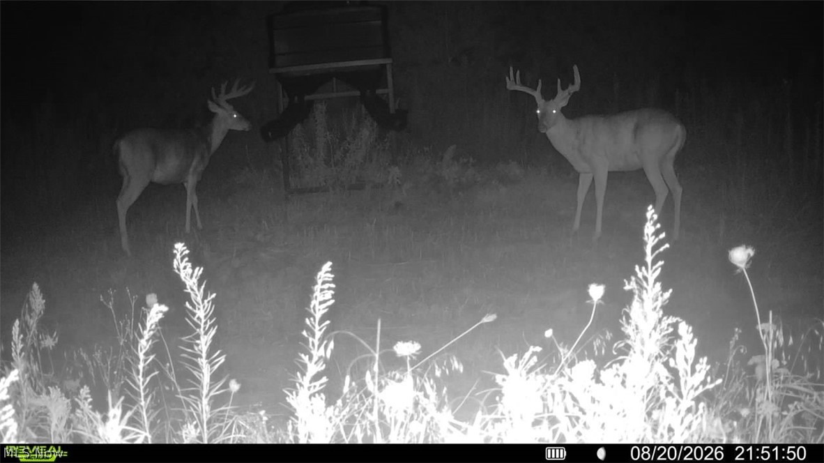 Lawndell SW Road Beach City OH 44608