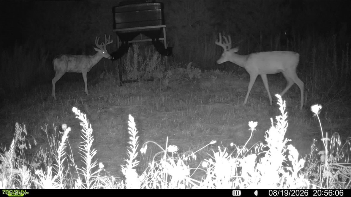 Lawndell SW Road Beach City OH 44608