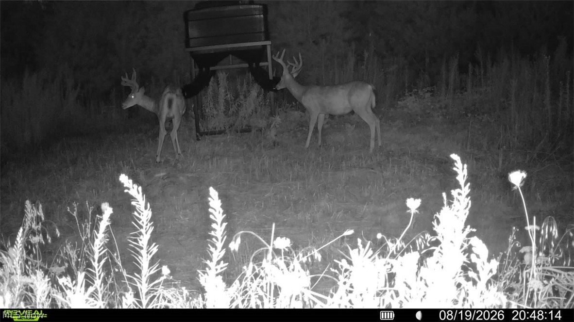 Lawndell SW Road Beach City OH 44608