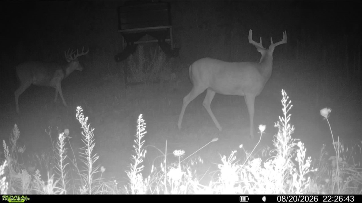 Lawndell SW Road Beach City OH 44608