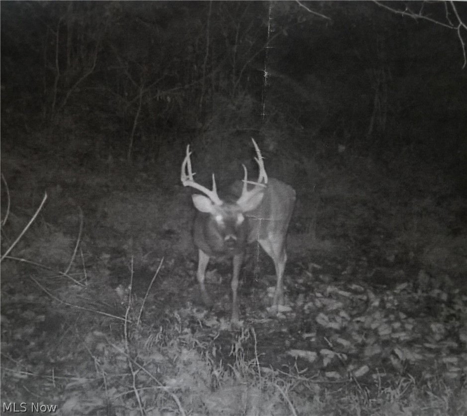 Dennis Road Zanesville OH 43701