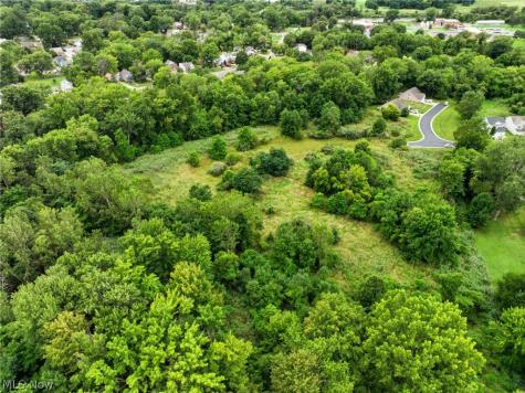 Lighthouse Pointe Drive Painesville OH 44077