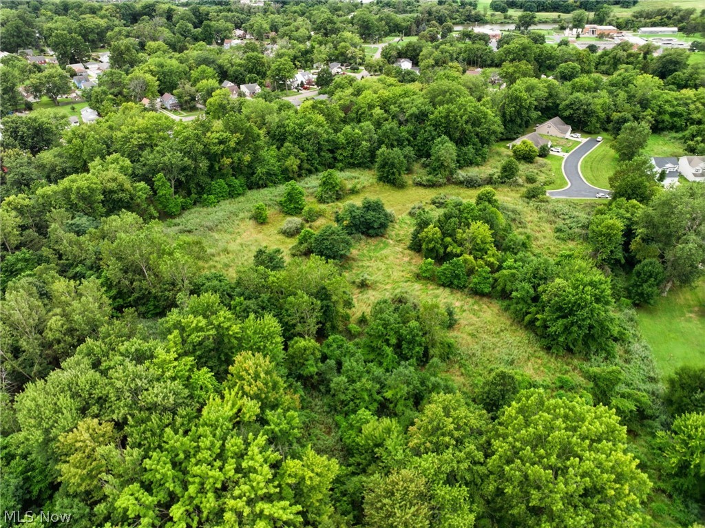 Lighthouse Pointe Drive Painesville OH 44077