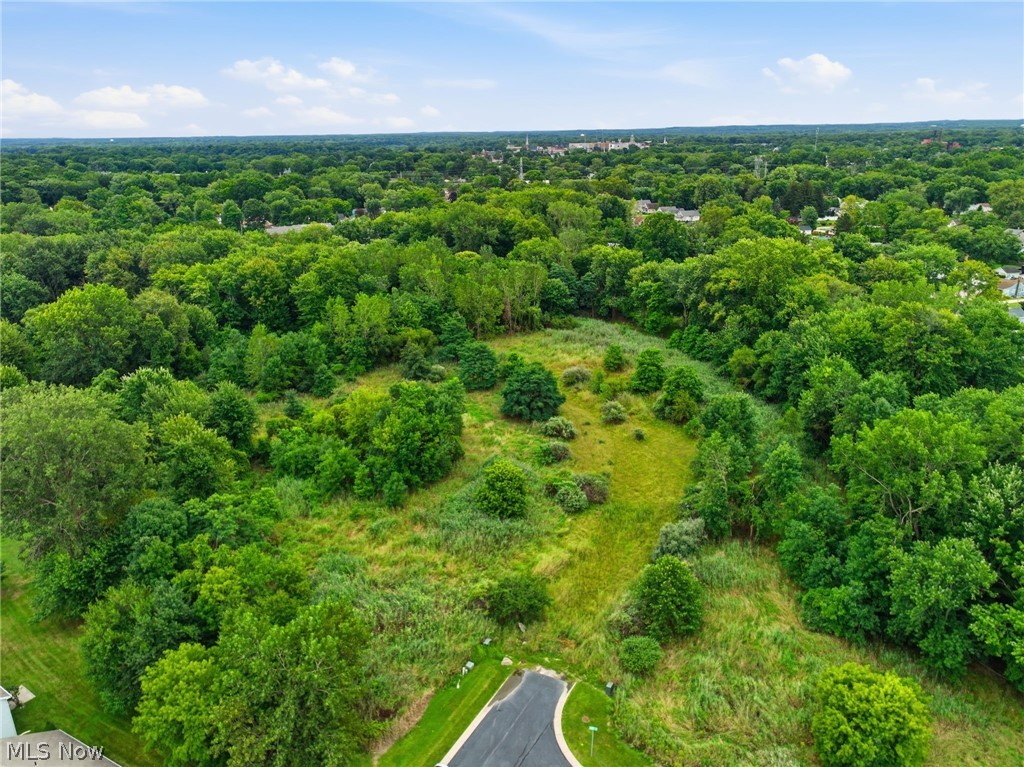 Lighthouse Pointe Drive Painesville OH 44077